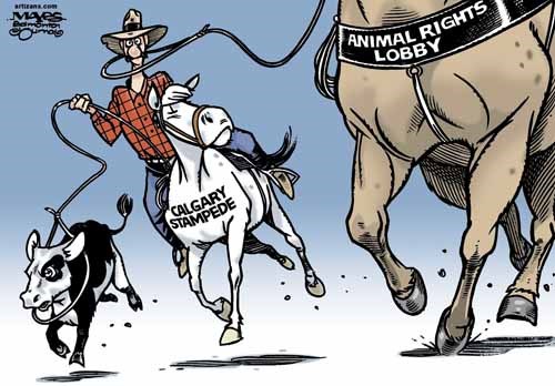 Calgary Stampede is lassoed by Animal Rights Lobby