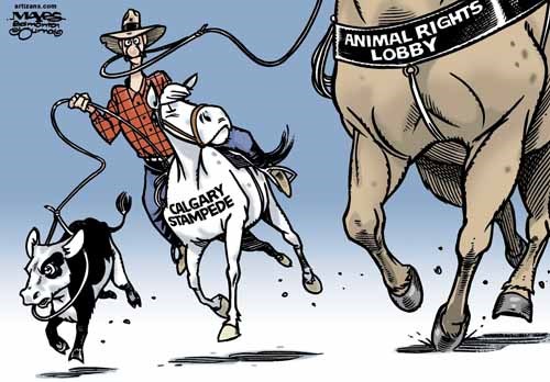 Calgary Stampede is lassoed by Animal Rights Lobby