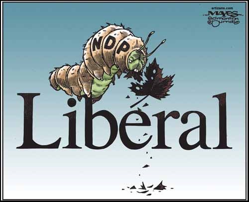 NDP caterpillar eats Liberal Party leaf.