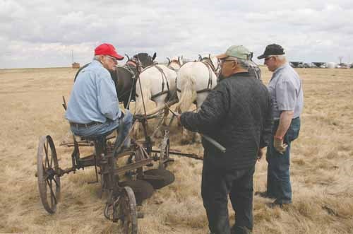 Duncan Arthur of Preeceville talks horses before heading out to plow.