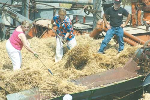 Two of the women volunteers pitch wheat into the threshing machine.