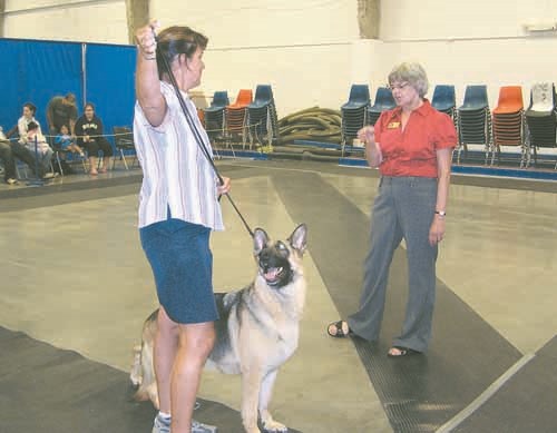 Judge Dorothy Hood observes and comments on a competitor's German shepherd during a conformation competition.