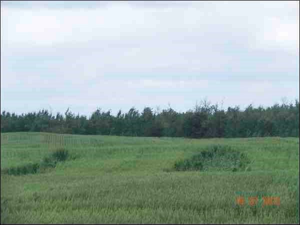 GN201310308069989AR.jpg