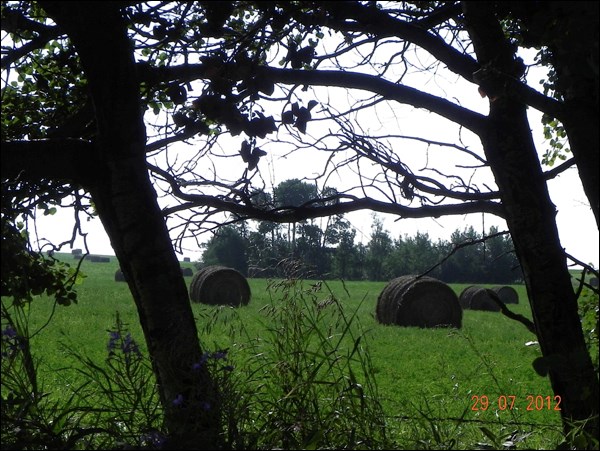 GN201310304179988AR.jpg