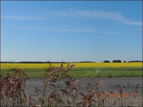 GN201410305019992AR.jpg
