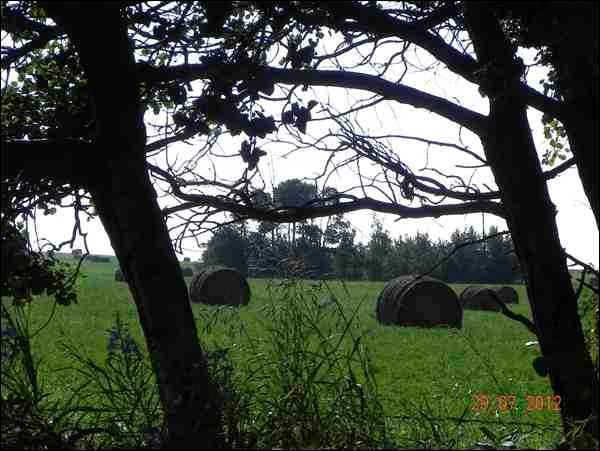 GN201310307259999AR.jpg