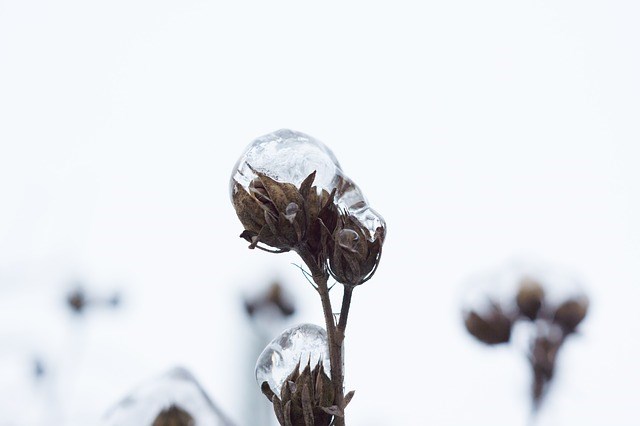 freezing rain