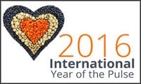 Year of the Pulse