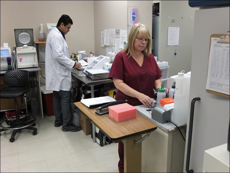 Before the upgrades Kamran Bashir (back), senior technologist, chemistry, and Christine Whitbread in the cramped temporary lab established in the old x-ray file room of the hospital.