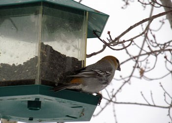 GS201210302169990AR.jpg