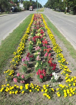 GS201010308059993AR.jpg