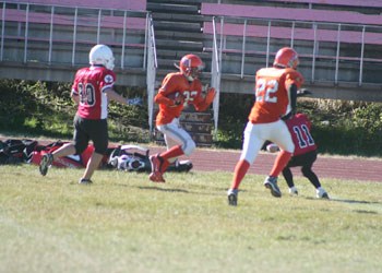 GS201210309279983AR.jpg