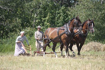 THRESHERMEN'S SHOW - The 56th Annual Threshermen's Show and Senior's Festival took place on the last weekend in July. The two day event featured entertainment, demonstrations and displays that brought history to life, and showcased the ways pioneers built a life in the province.