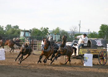 GS201110306169997AR.jpg