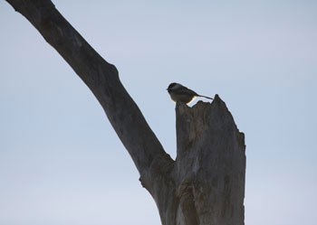 GS201210301059999AR.jpg