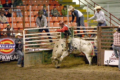 GS201010311119984AR.jpg