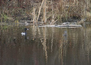 GS201310304049999AR.jpg