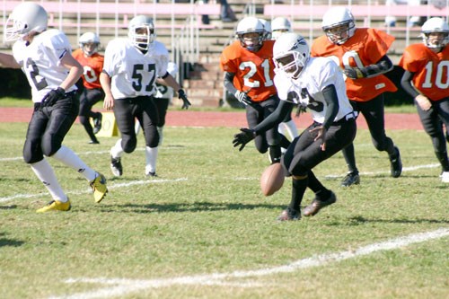 GS201010309309994AR.jpg