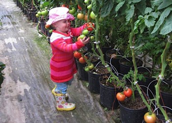 GS201310307049998AR.jpg