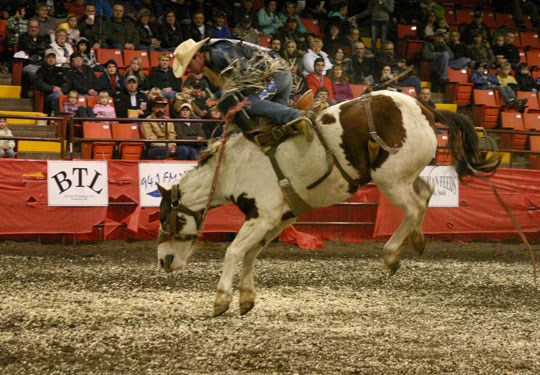 GS201110311109998AR.jpg
