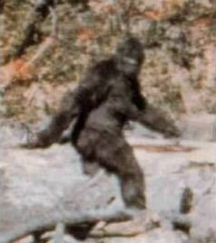 Bigfoot