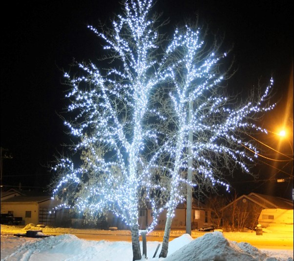 The tree well-lit near Creighton Community School is spreading holiday cheer.