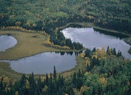 Duck Mountain Provincial Park