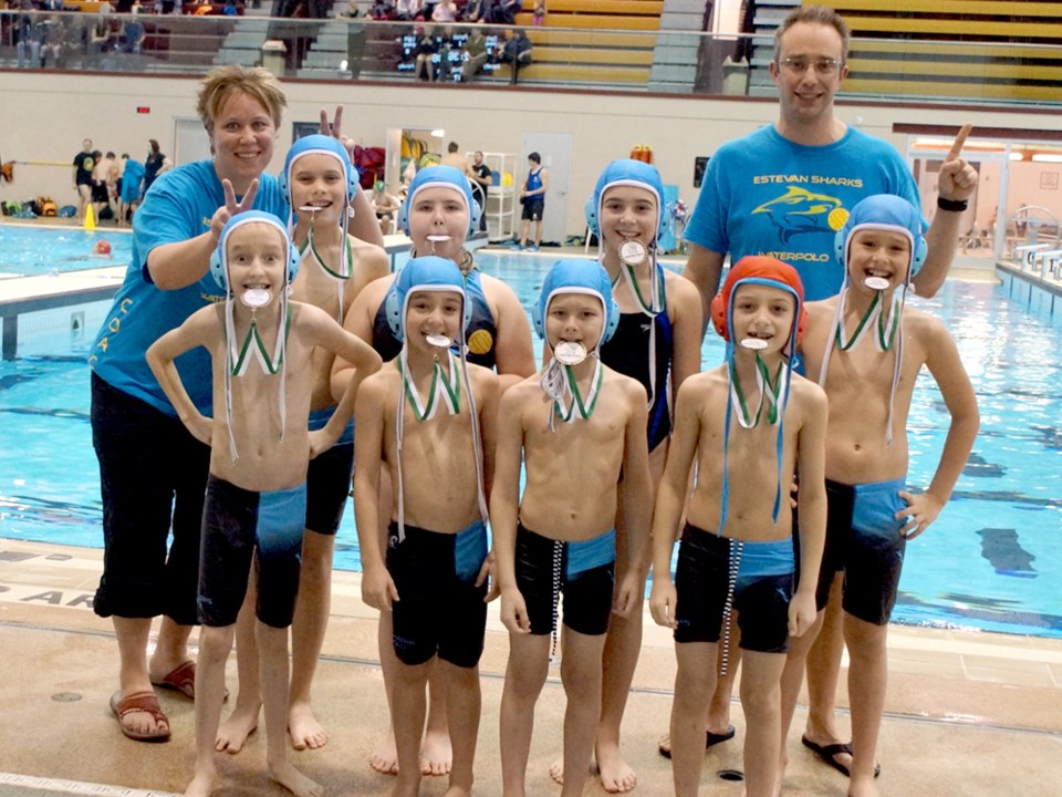 sharks water polo gold medal win at provincials