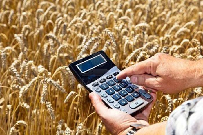 Farm Business
