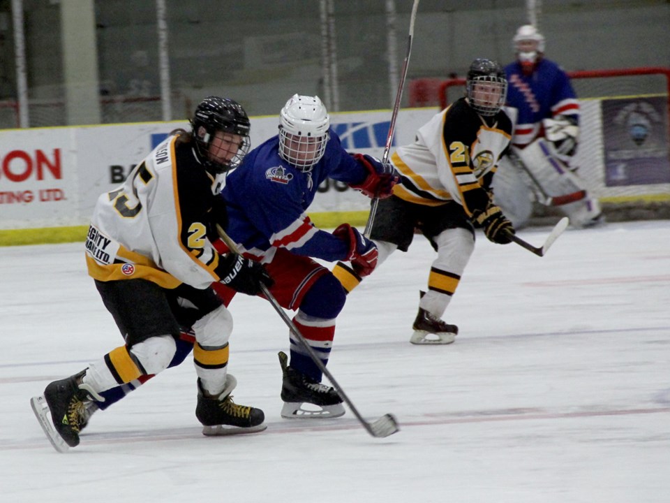 apex bruins mitchell morrison