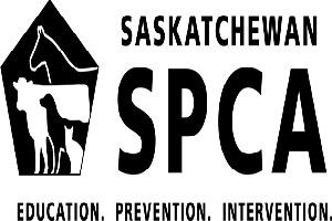 SPCA