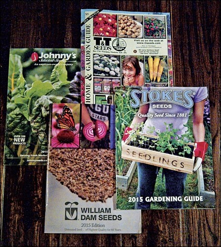 seed catlaogues