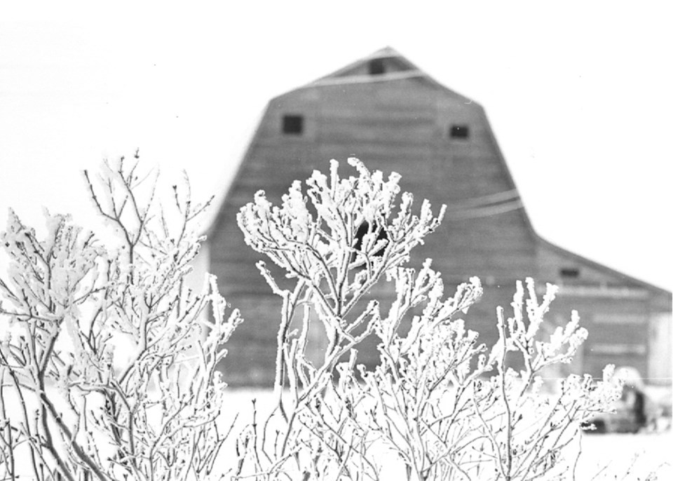 country scene