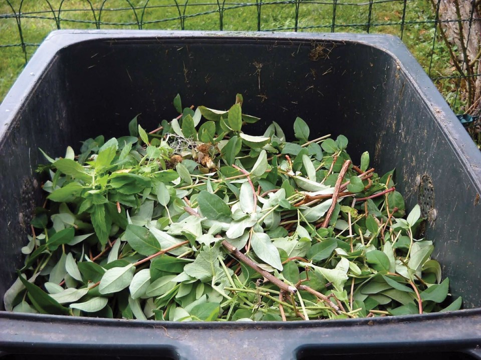 Backyard compost