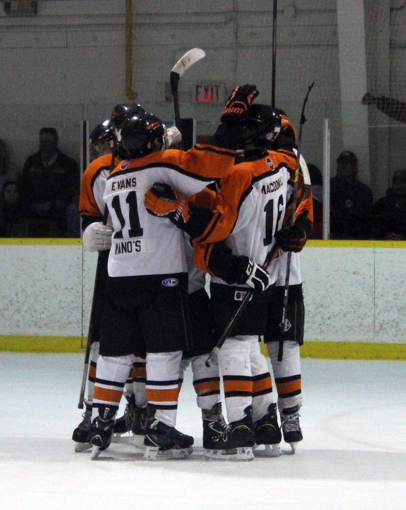 Yorkton Midget Mano’s Terriers