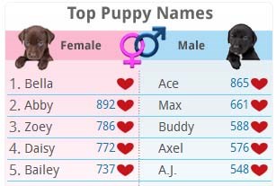 RCMP Puppy Name Contest