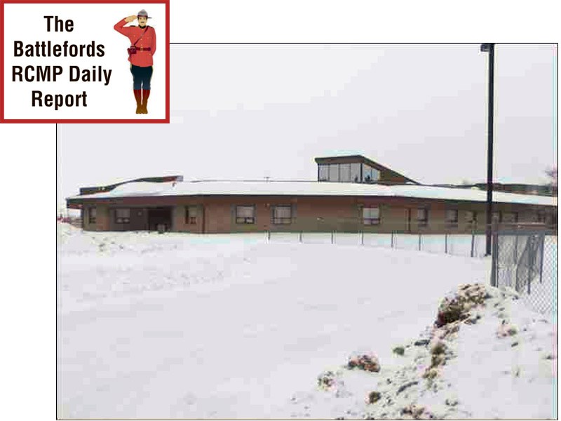 daily report pic