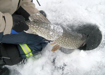 ice fishing