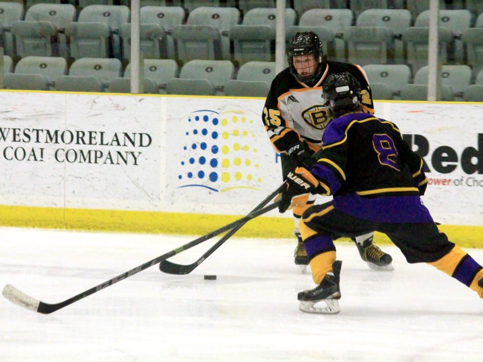 apex bruins mitchell morrison