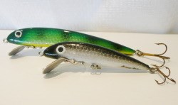 fishing