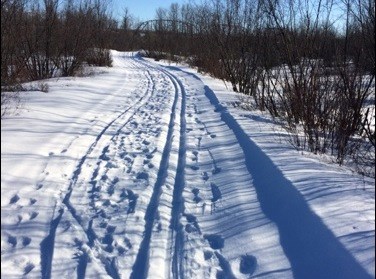 finlayson trails pic