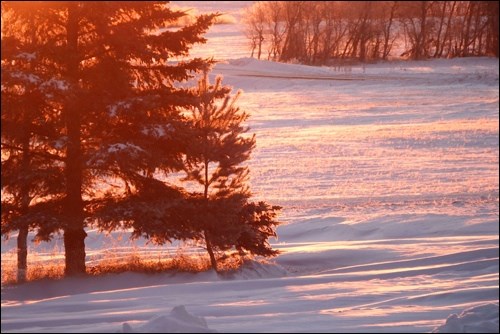 rural scene pic