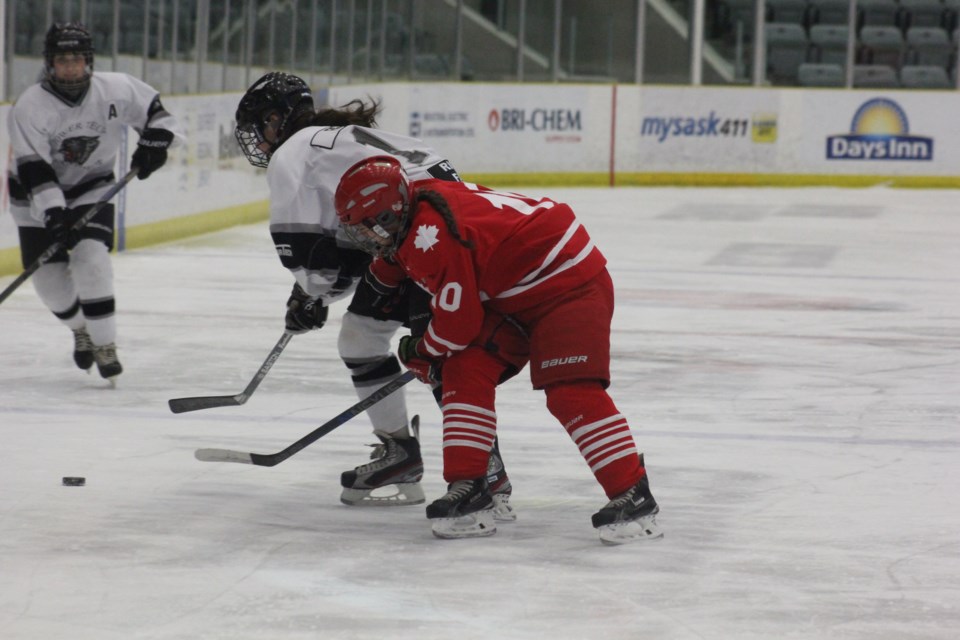 Estevan Panthers
