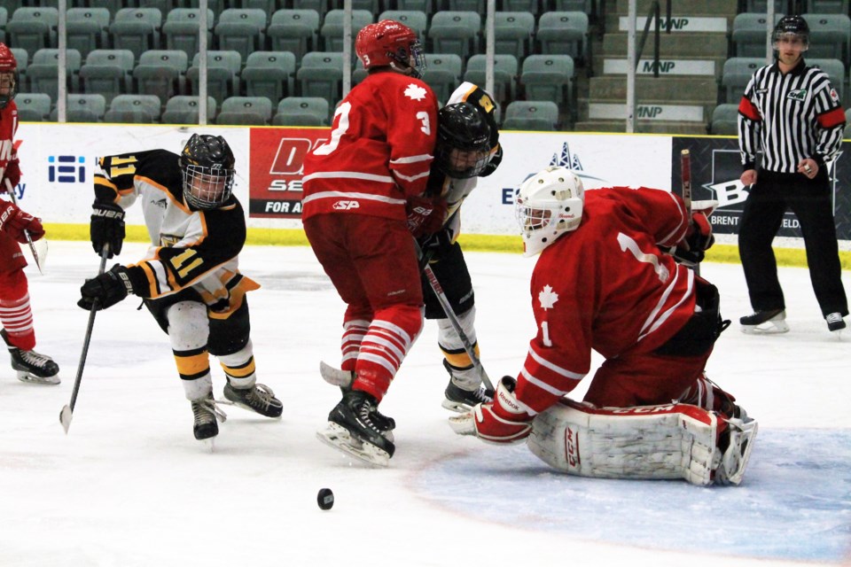 Apex Bruins