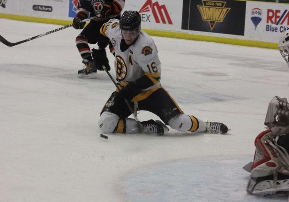 Bruins