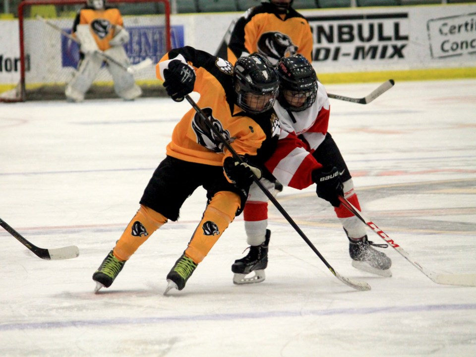 peewee A bruins march 2015