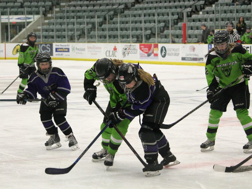 peewee Vipers march 2015