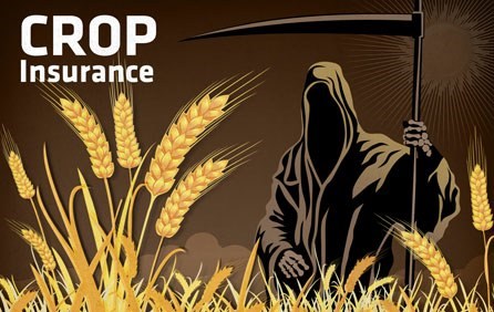 Crop Insurance