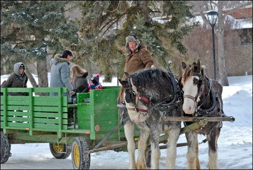 Driver Hugh Heidle and his horses await their next load of passengers as part of sleighrides during the 10th annual aboriginal story telling festival at the North Battleford library.