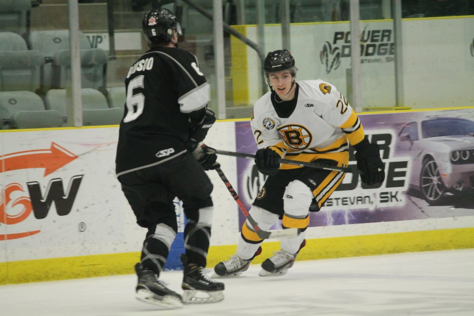Bruins